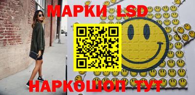 гидропоника Можга