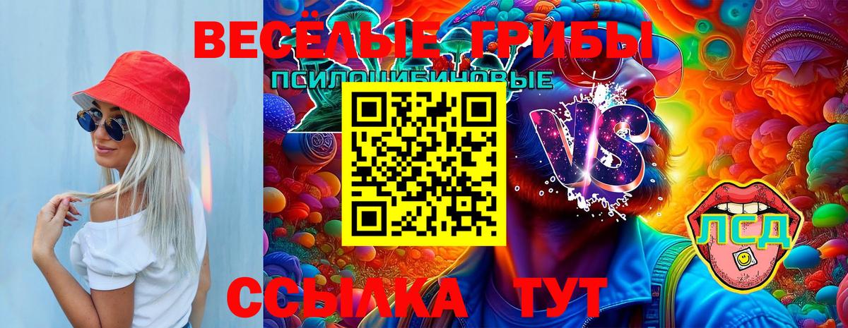 Спасск-Дальний  Галлюциногенные грибы Magic Shrooms  Вход с VPN  Псилоцибиновые грибы Psilocybine cubensis 